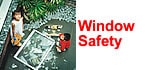 Window Safety